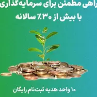 سرمایه‌گذاری بدون ریسک با ۳۱٫۷٪ سود روز شمار