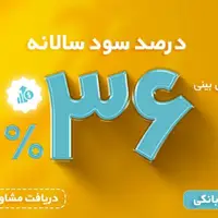 سرمایه گذاری با سود پیش بینی شده ۳۶ الی ۴۲ درصد + وثایق بانکی، حد اعتباری، وام