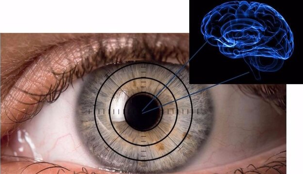 هشدار زودهنگام ابتلا به آلزایمر در چشم نمایان شد