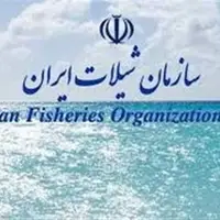 سازمان شیلات زیر تیغ فرآیندهای فسادزا