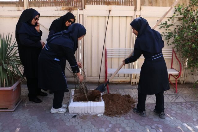 کاشت چند اصله نهال به یاد دانش‌آموزان جان‌باخته فرزانگان کرمان