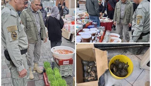 برخورد با خرید و فروش غیر مجاز گونه‌های جانوری در تهران