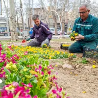  استقبال از بهار در بجنورد