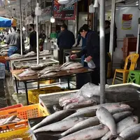 هزینه پخت سبزی پلو با ماهی شب عید میلیونی شد!