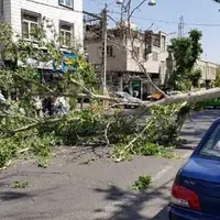 افزایش دما و وزش باد گرم در گیلان