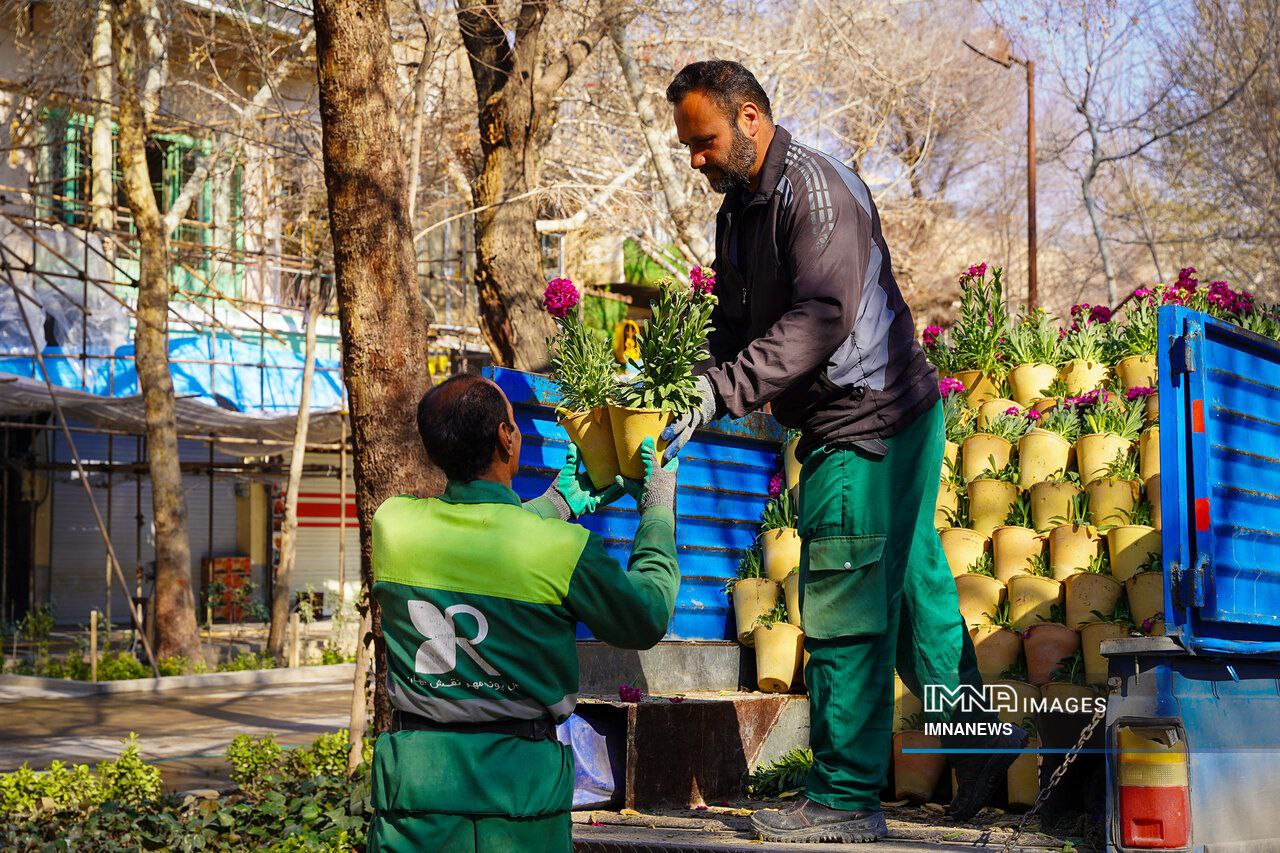 عکس/ صدای پای بهار در چهارباغ