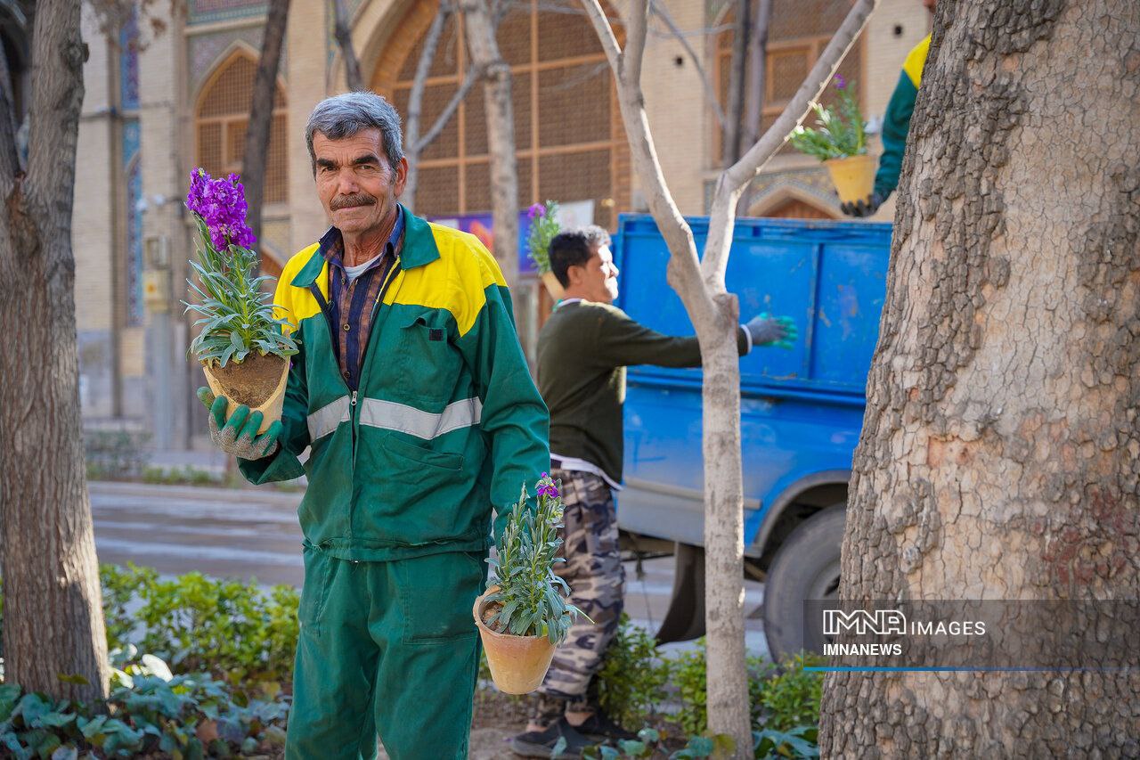 عکس/ صدای پای بهار در چهارباغ