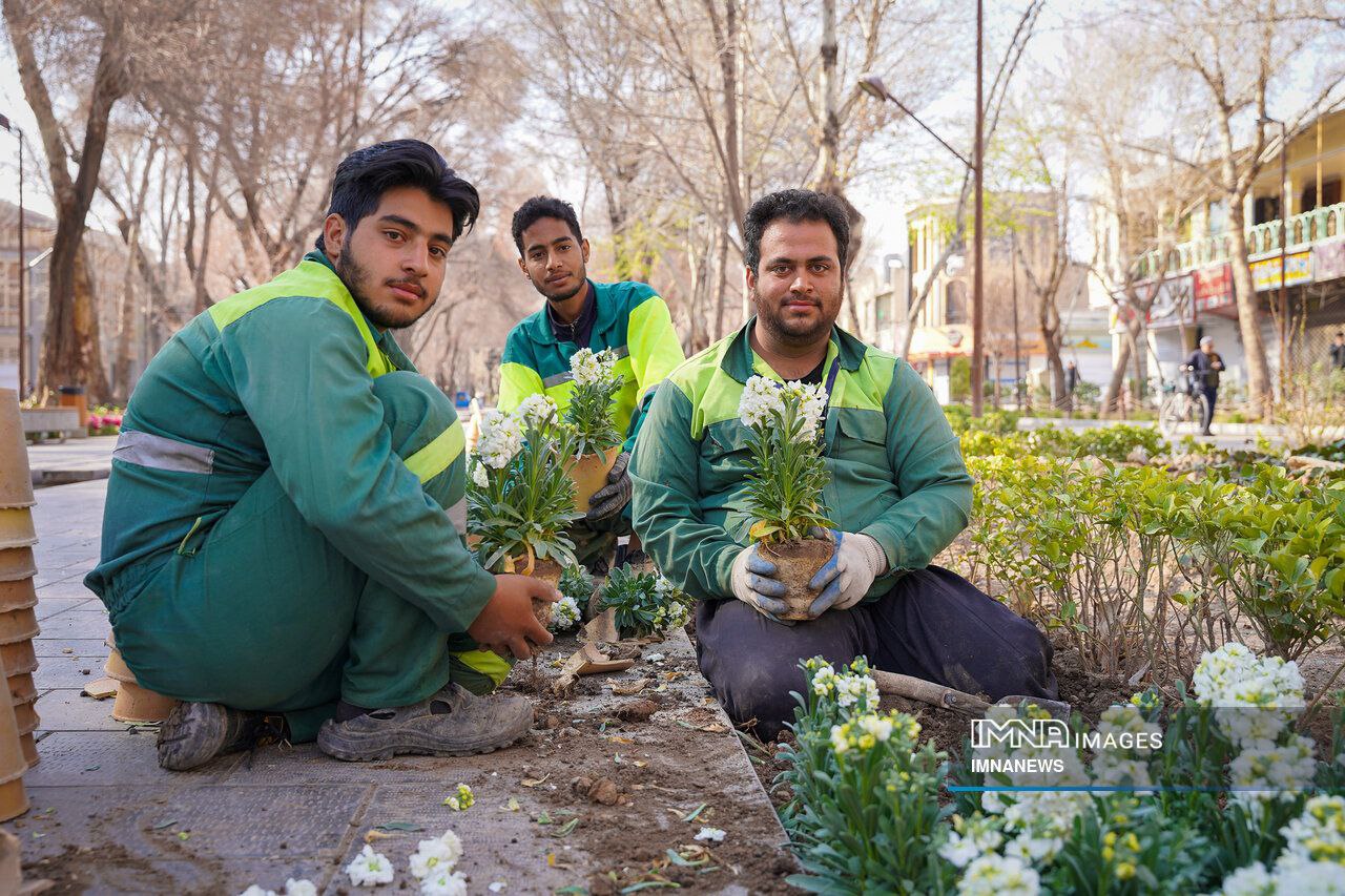 عکس/ صدای پای بهار در چهارباغ