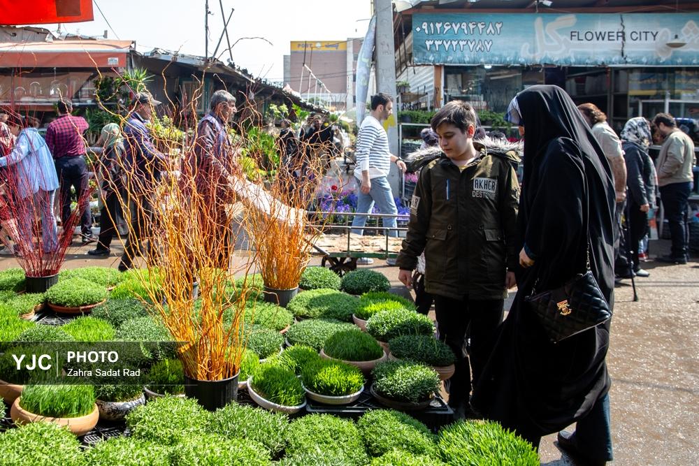 بازار گل محلاتی تهران در آستانه سال ۱۴۰۴