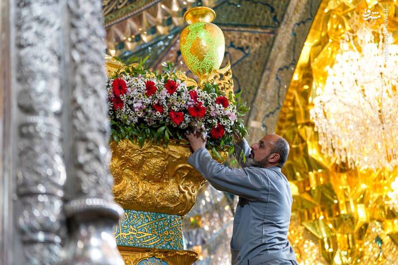 عکس/ گل‌آرایی ضریح حرمین سامرا برای ولادت امام حسن(ع)