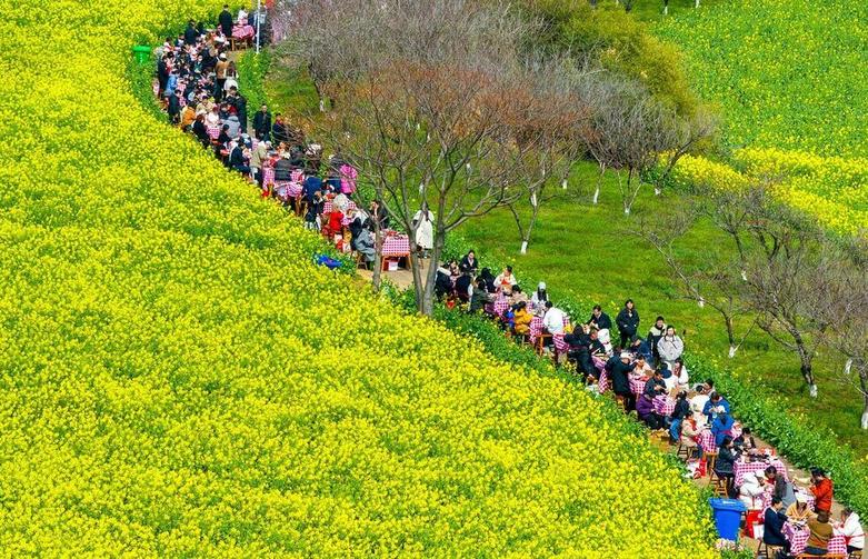 قدم زدن گردشگران در طبیعت بهاری مزرعه "کلزا" در "نانجینگ" چین