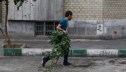 هشدار وزش باد شدید در تهران؛ بارش باران از پنج‌شنبه