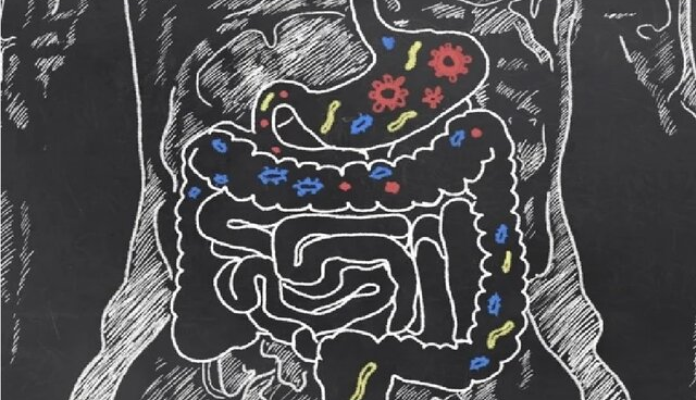 کشف بیش از 40 هزار نوع میکروب جدید روده در مردم آفریقا