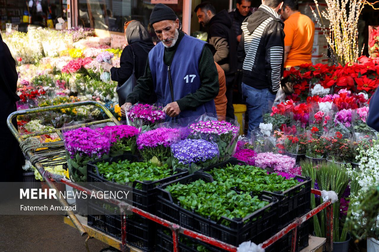 عکس/ بازار گل محلاتی در آستانه نوروز