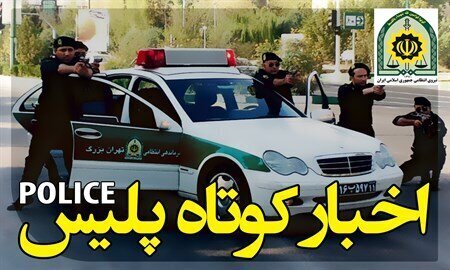 دستگیری سارقان طلا از منازل به ارزش 65 میلیاردریال در فارس