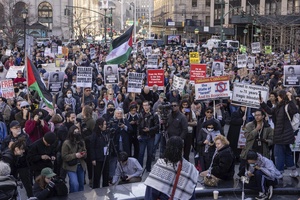 محمود خلیل، زندانی سیاسیِ «مهد آزادی»