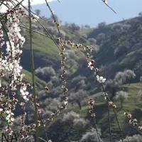 هوای کردستان هشت درجه سردتر می‌شود