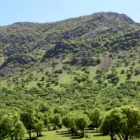 ۳۷ تیم در ایام نوروز از منابع طبیعی سمنان حفاظت می‌کنند