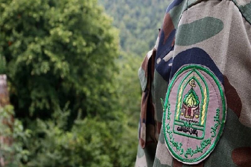 ضربوشتم مأمور منابع طبیعی باشت در درگیری با سودجویان