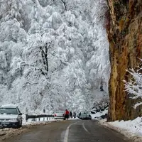 برف و شکوفه‌های بهاری در ارتفاعات رامسر