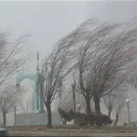 وزش باد نسبتاً شدید در برخی نقاط استان قزوین