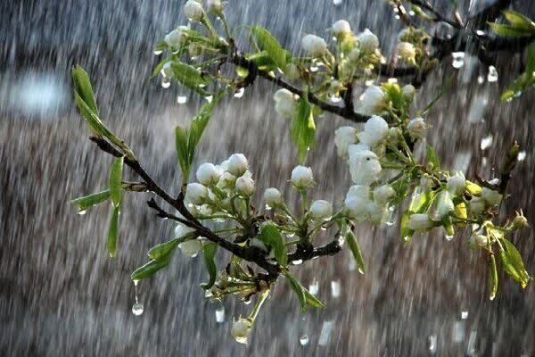 آغاز بارشهای بهاری در همدان از روز جمعه
