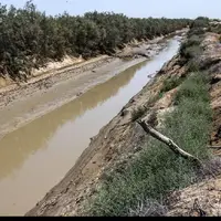 قاضی خلاق و محکومان ناجی؛ مأموریت سبز محکومان گلستانی
