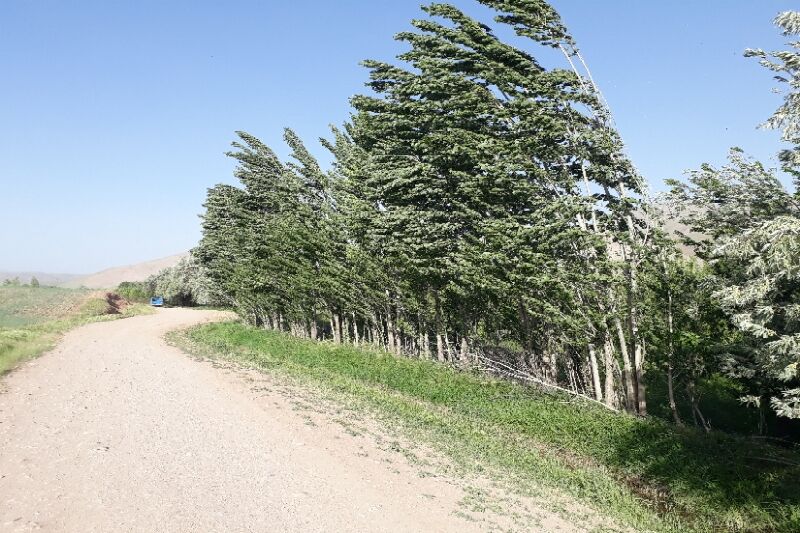 وزش شدید باد استان زنجان را فرا میگیرد
