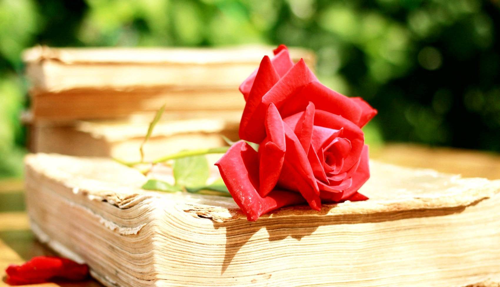 دو خط کتاب/ سه‌شنبه‌ها با موری