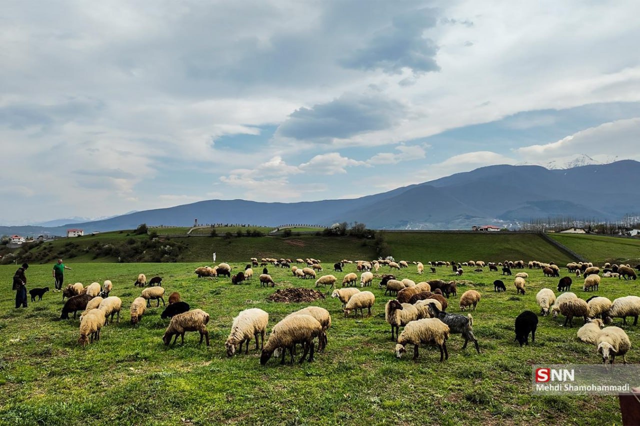  طبیعت بهاری کلاردشت