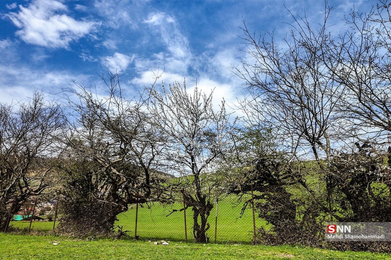  طبیعت بهاری کلاردشت