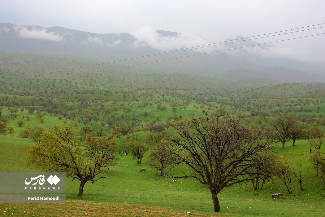 بهار در زاراس؛ طبیعتی بکر در شمال خوزستان