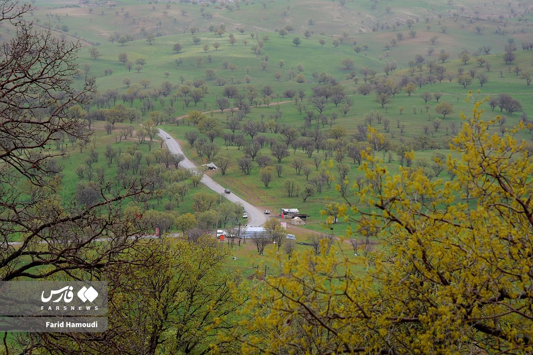 بهار در زاراس؛ طبیعتی بکر در شمال خوزستان