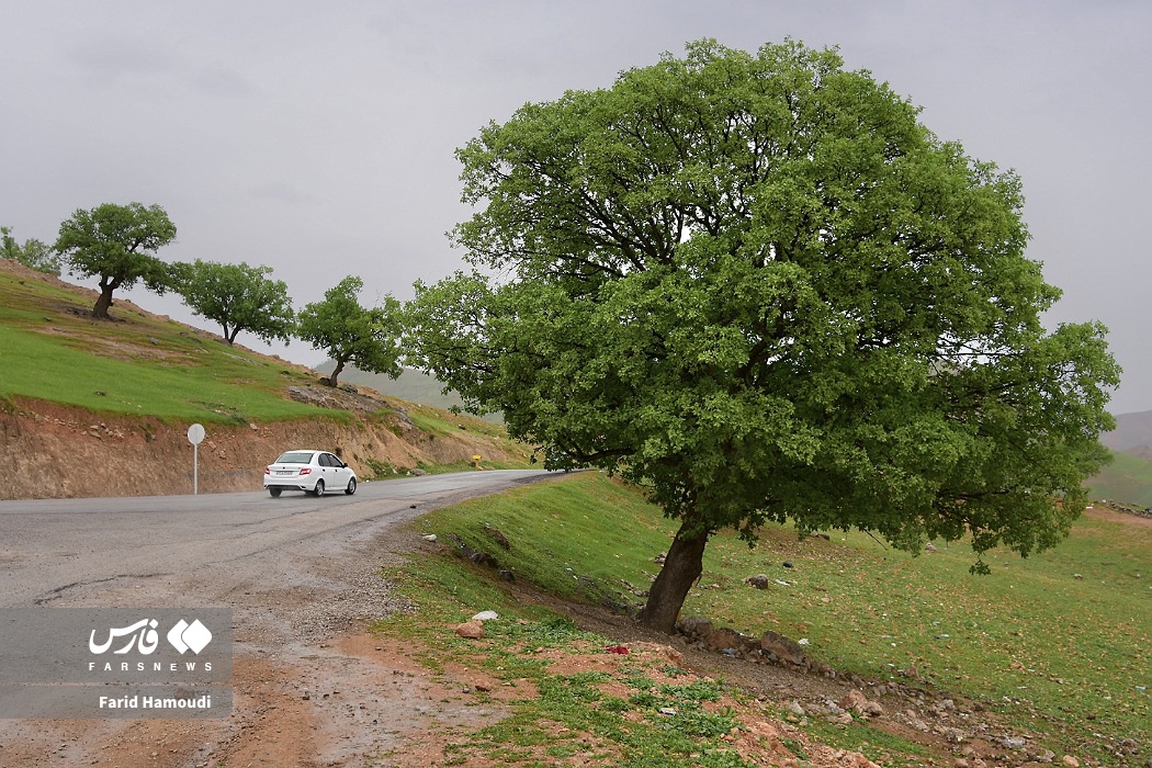 بهار در زاراس؛ طبیعتی بکر در شمال خوزستان