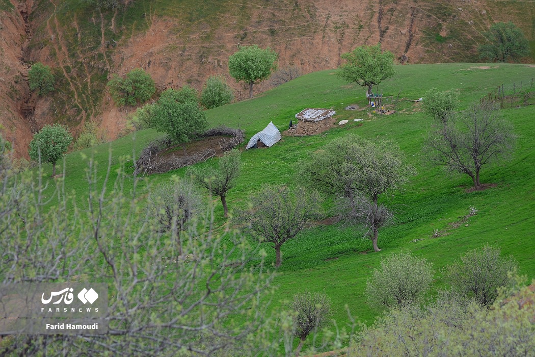 بهار در زاراس؛ طبیعتی بکر در شمال خوزستان