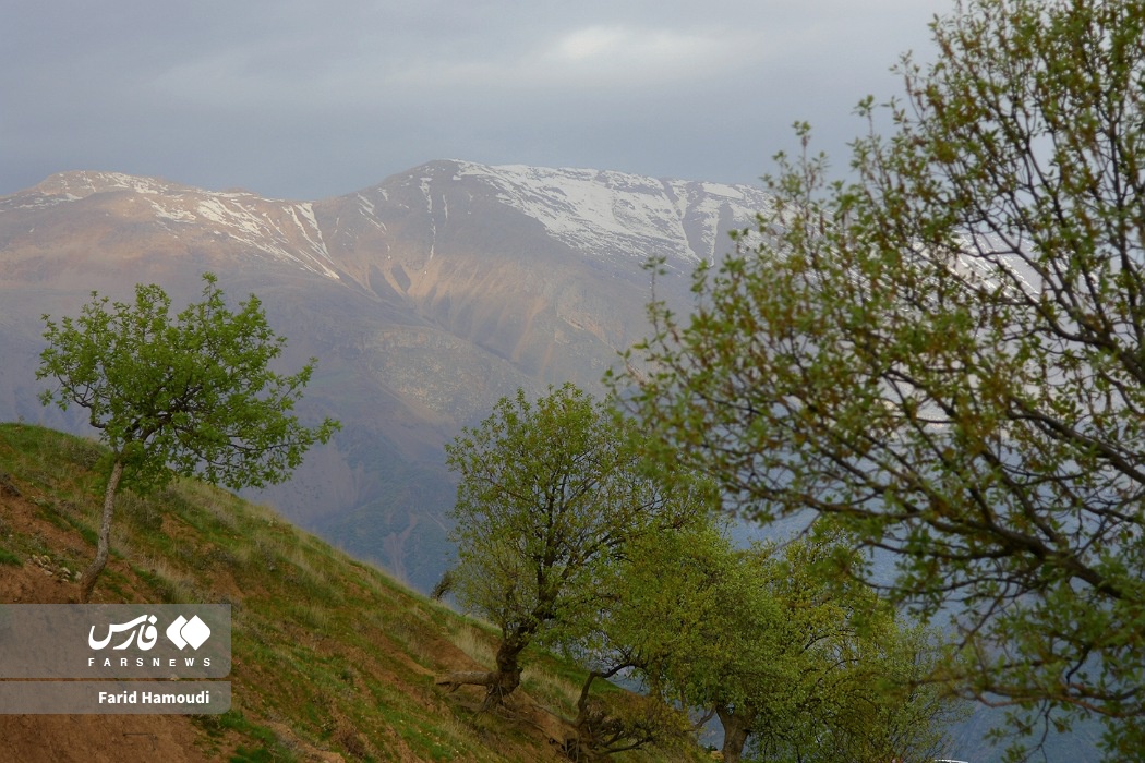 بهار در زاراس؛ طبیعتی بکر در شمال خوزستان