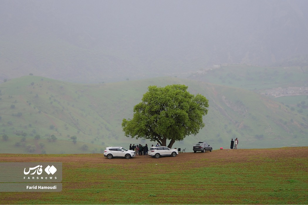 بهار در زاراس؛ طبیعتی بکر در شمال خوزستان