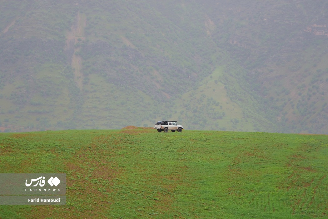 بهار در زاراس؛ طبیعتی بکر در شمال خوزستان