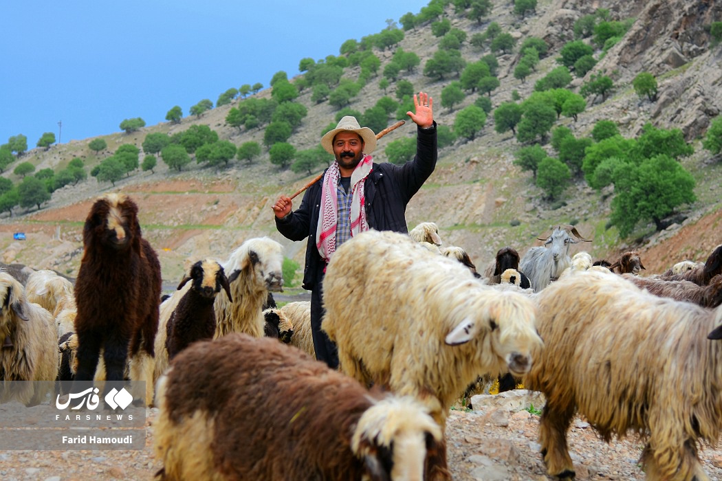 بهار در زاراس؛ طبیعتی بکر در شمال خوزستان