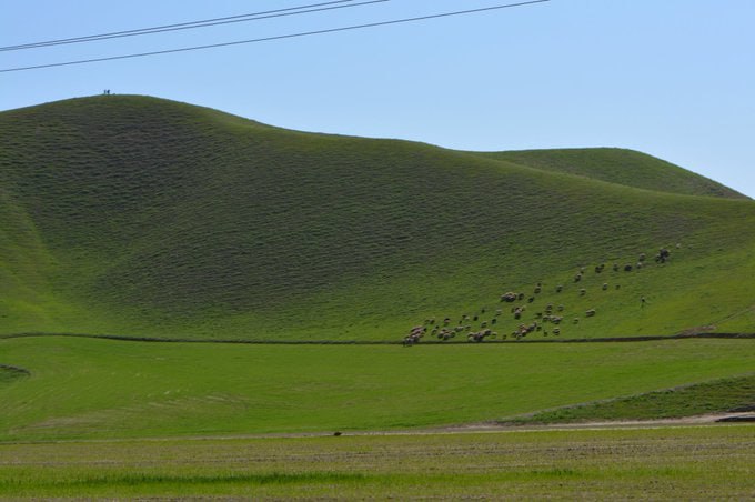 طبیعت زیبای ترکمن صحرا در گلستان