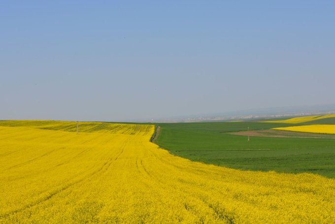 طبیعت زیبای ترکمن صحرا در گلستان