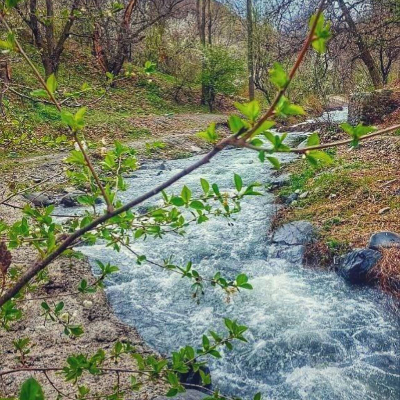 طبیعت زیبای روستای پایه گلمکان
