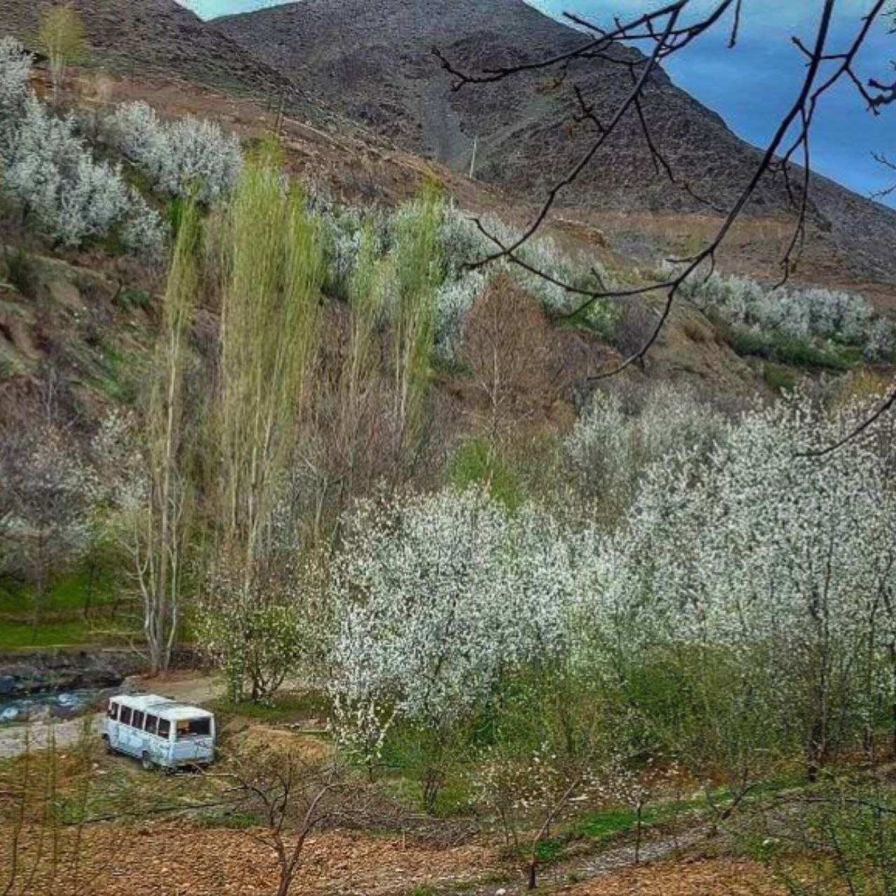 طبیعت زیبای روستای پایه گلمکان