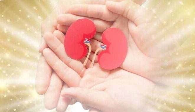 سه عضو بدن بانوی همدانی به بیماران نیازمند اهدا شد