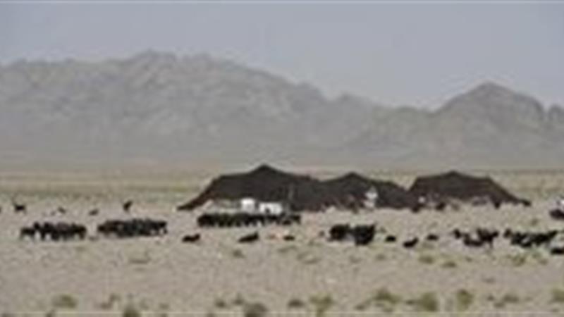پرداخت حدود ۳۲ میلیارد تومان تسهیلات به عشایر خراسان جنوبی