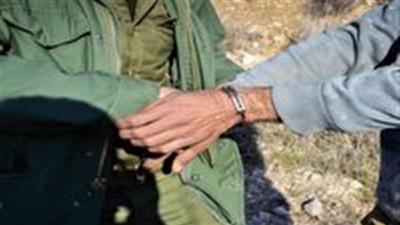 دستگیری عاملان شکار یک رأس کل وحشی در شهرستان طبس