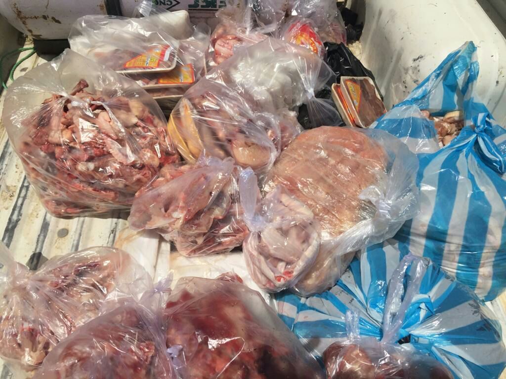 پلمب کارگاه غیرمجاز گوشت چرخ‌کرده در البرز