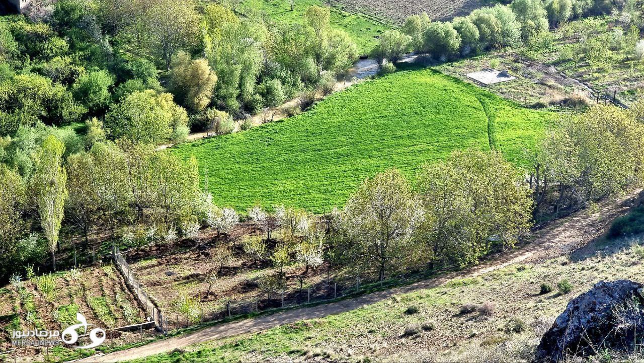 طبیعت زیبای کبوترلانه در کنگاور