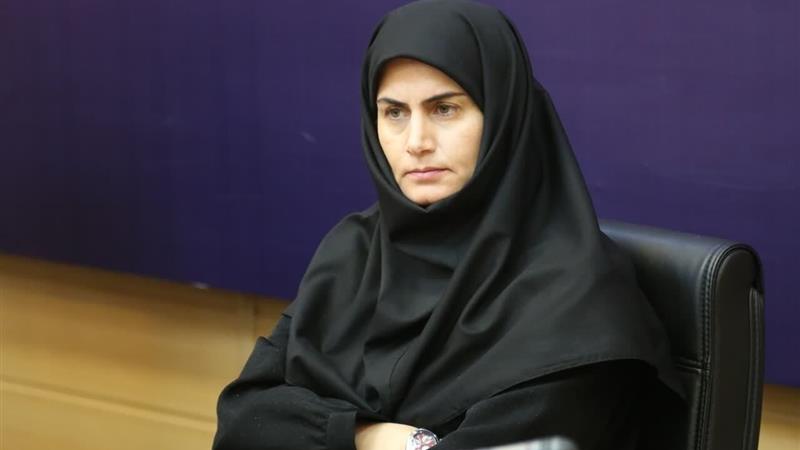 رشد ۴۳ درصدی صادرات زنجان در سال ۱۴۰۳