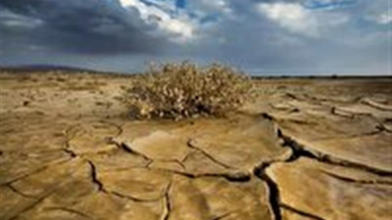 ۷۶ درصد خراسان جنوبی، درگیر خشکسالی شدید